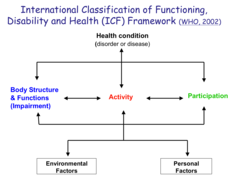 Simplistic version (figure) of the ICF model.