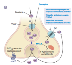 SSRI