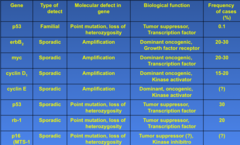 Table 1 Principal genetic alterations in breast cancer