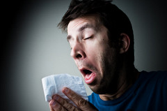 The common cold is caused by a single, specialized virus.