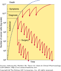 The log-kill hypothesis (chart)