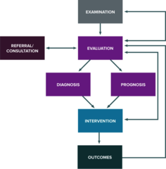 The Physical Therapist Patient/Client Management Model contains the following elements:  **KNOW THESES**