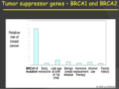 Tumor suppressor genes - BRCA1 and BRCA2 (my notes)