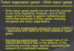 Tumor suppressor genes - DNA repair genes (my notes)