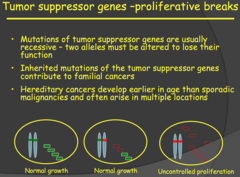 Tumor suppressor genes -proliferative breaks (2015)