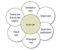types of level care