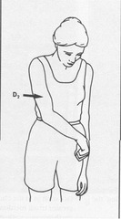 UE D2 extension components