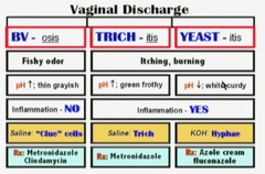 Vaginal discharge: BV, parasitic, yeast
