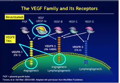 VEGF vs VEGFR blockers