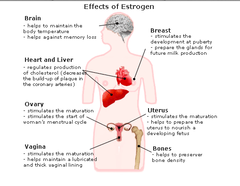 What are the female metabolic effects of estrogen?