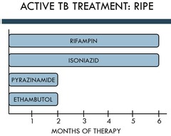 What are the four drugs for for active TB?