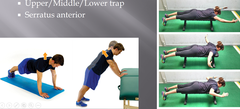What is the goal of Shoulder Impingement Rehab