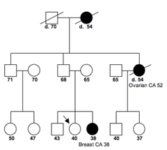 what will a BRCA family pedigree look like? who should you test?