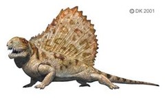 a synapsid; early reptile that gave rise to mammals
