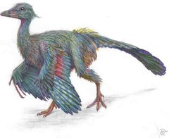 archeopteryx