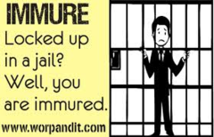immure (jail,confine) v D