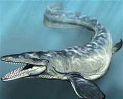 Mosasaurs