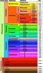 evoluzione periods paleozoic fotosintesi dal temporale scala studyhippo formazione ecologica modelli catastrofe