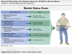 Components of Mental Status Exam