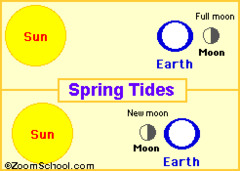 During ____ ,the sun and moon align relative to the Earth.