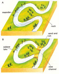 Oxbow Lake