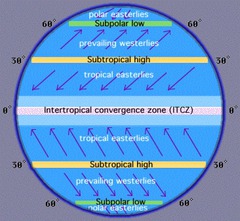 polar easterlies