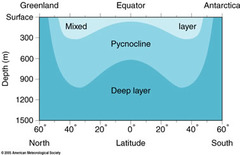 pycnocline