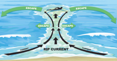 Rip Current