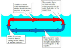 Surface Current