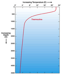 Temperature Profile