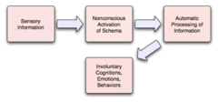 The Cognitive Paradigm: Schemas and Psychopathology