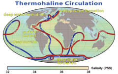 Thermohaline