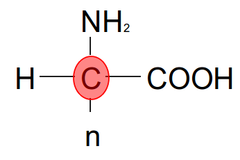 Alpha Carbon Stereocenter