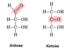 Carbohydrate Nomenclature and Classification