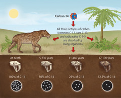 Carbon-14 (Radioactive) Dating