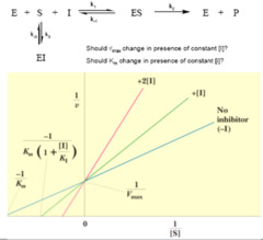 competitive inhibition