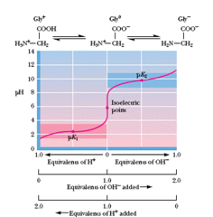 Isoelectric point (pI)