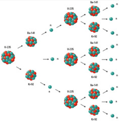 Nuclear Reaction