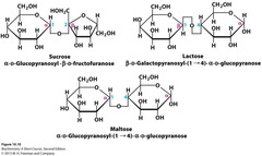 Polymerization