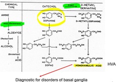 Primary breakdown product of dopamine; low levels in CSF are diagnostic of___