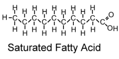 saturated fatty acids