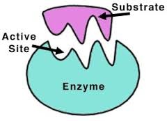 Substrate