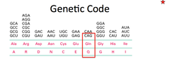 What type of repeats are found in Huntington's genes?