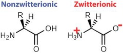 Zwitterion