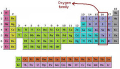 oxygen family