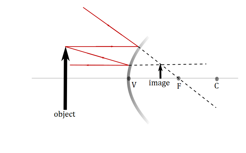 Exercise scan