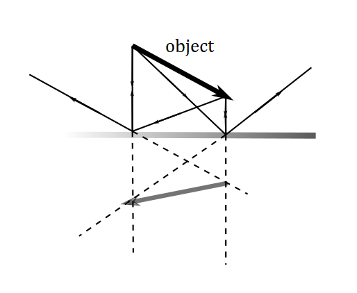 Exercise scan