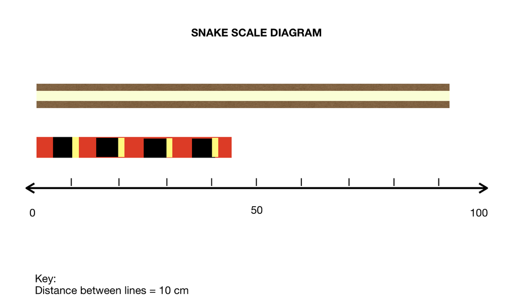 Exercise scan