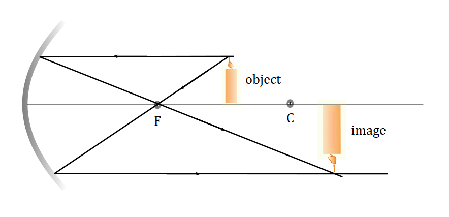 Exercise scan